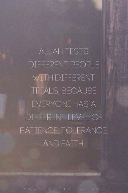 tumblr neazqeLyIs1rhu2gao1 500 1 - Imaan Boosting Islamic Reminders