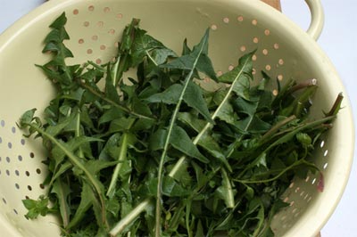 dandelionsalad-1.jpg