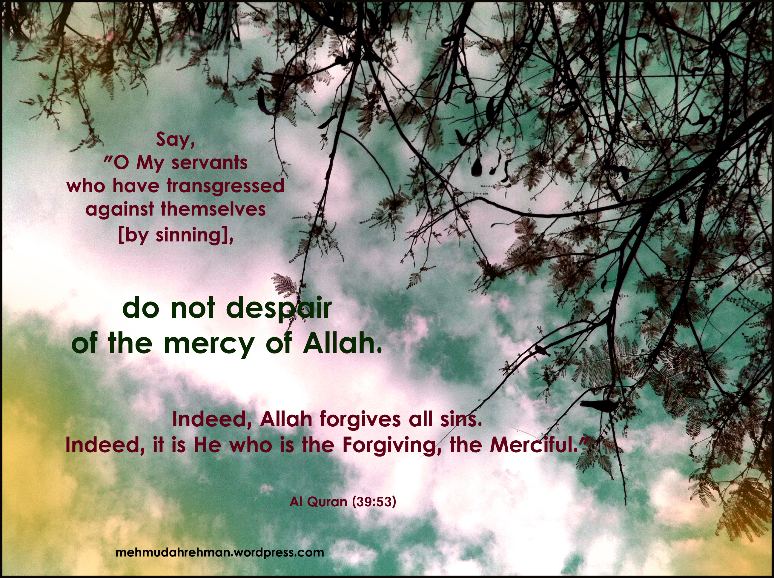mercyofallah-1.jpg