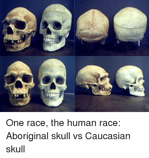 oneracethehumanraceaboriginalskullvscauc 1 - Is human evolution compatible with the quran?