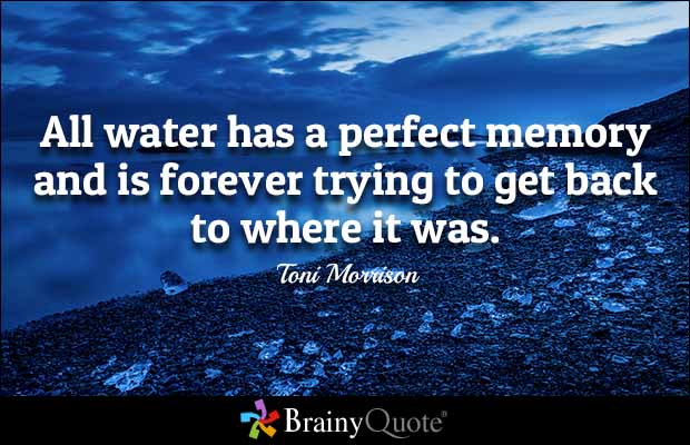 tonimorrison1 1 - Beautiful Quotes, Proverbs, Sayings