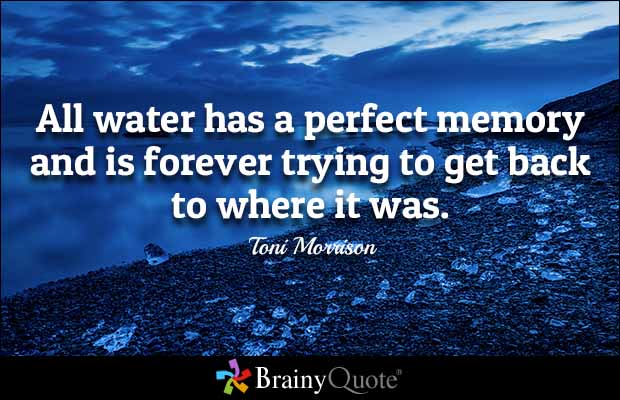 tonimorrison1-1.jpg