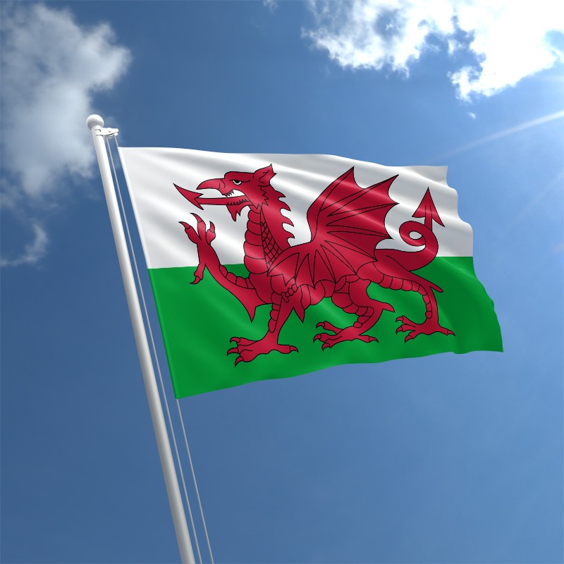 walesflagstd zpsvwst8myc 2 - Explaination of The NEW WOLRD ORDER
