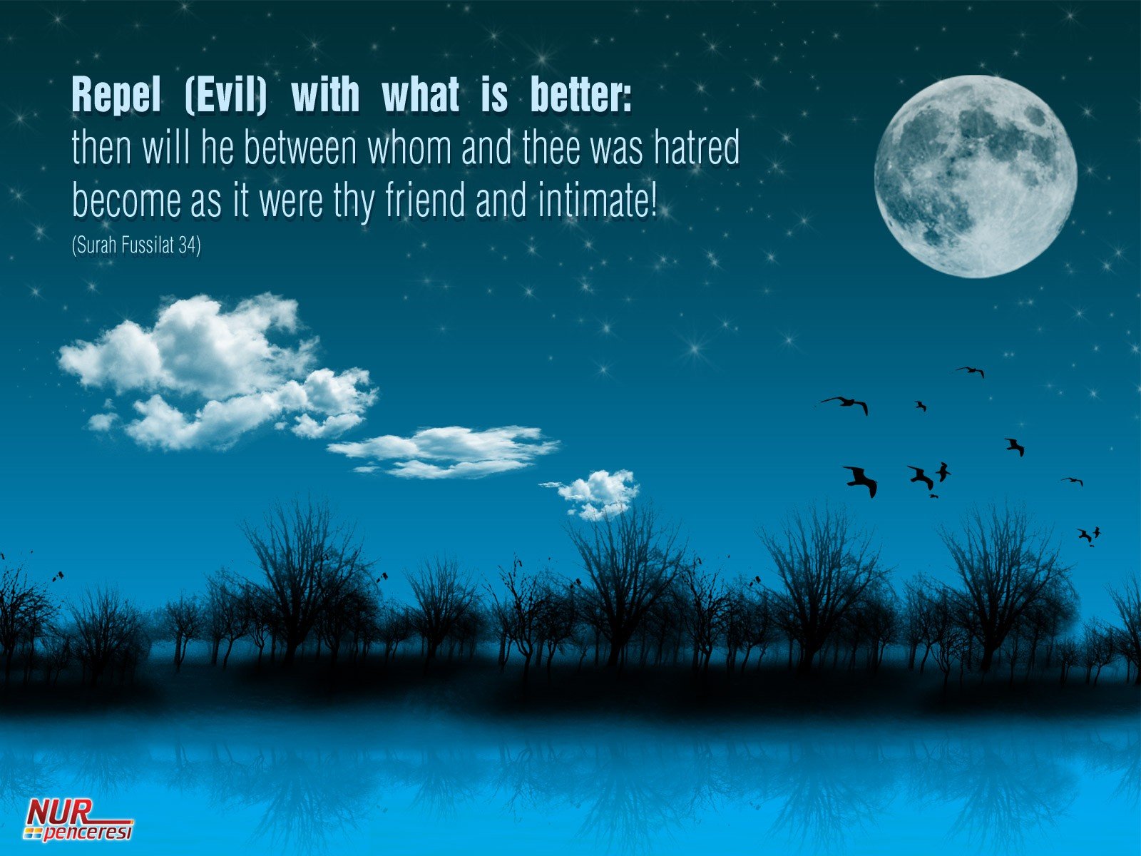 Evileye 1 - Beautiful Quotes, Proverbs, Sayings