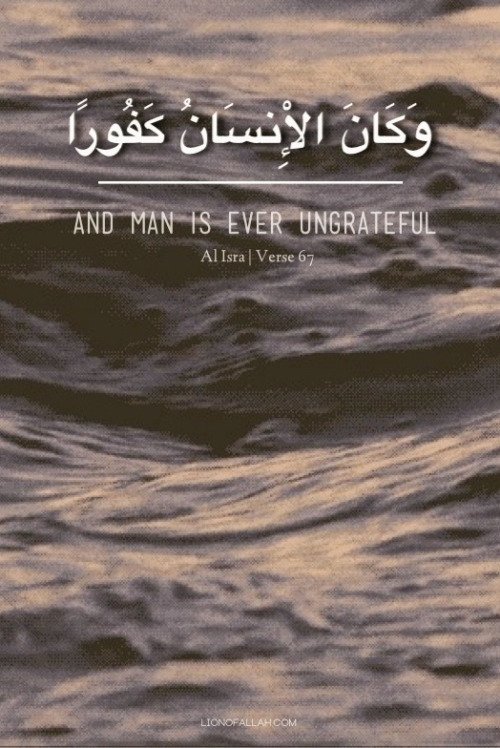 tumblr mgyf6tuiHt1rhu2gao1 500 1 - Imaan Boosting Islamic Reminders