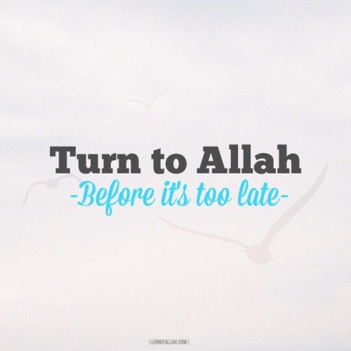 tumblr mlj514V0YL1rhu2gao1 500 1 - Imaan Boosting Islamic Reminders