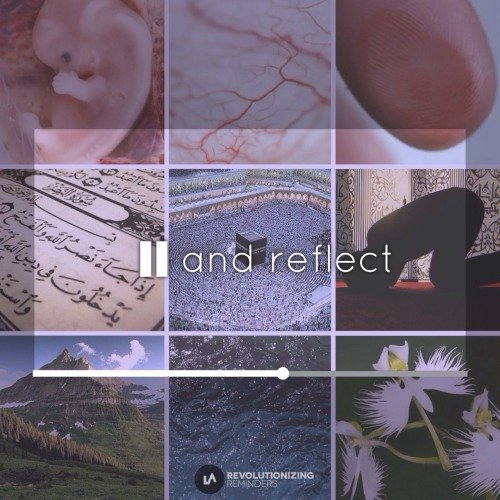 tumblr_n7gzjmFI061rhu2gao1_500-1.jpg