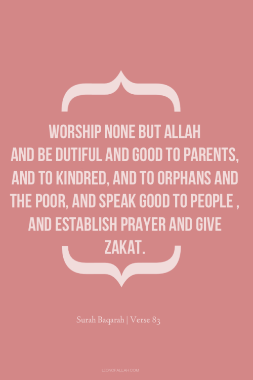 tumblr mhocmcPqj41rhu2gao1 500 1 - Imaan Boosting Islamic Reminders