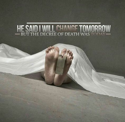 3bb4cad001455282e2b7214debaf7ea5islamicq-1.jpg