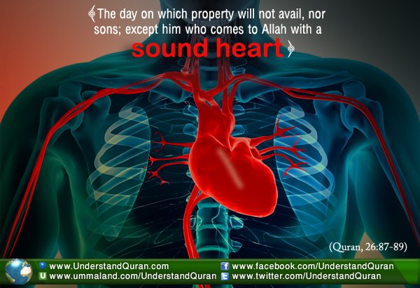 heart 1 - Beautiful Quotes, Proverbs, Sayings