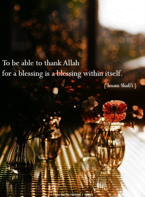 wisdomimamshafiandthankingallah-1.jpg