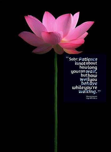 6cae594966a329666033966df7a804f5patience 1 - Beautiful Quotes, Proverbs, Sayings