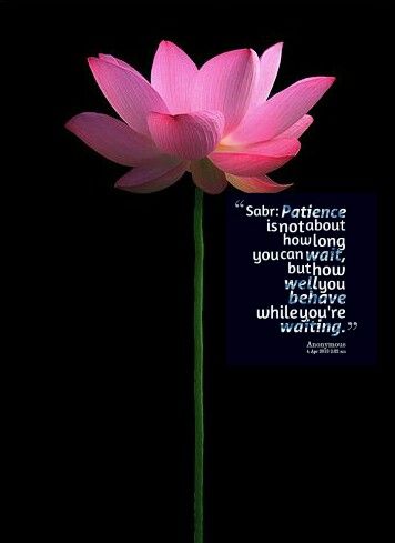 6cae594966a329666033966df7a804f5patience-1.jpg