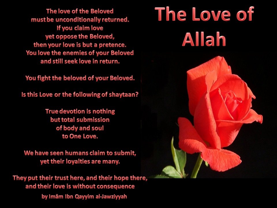 loveofallah 1 - Beautiful Quotes, Proverbs, Sayings
