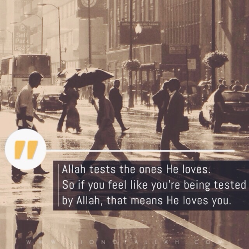 tumblr nd13ddPgZ01rhu2gao1 500 1 - Imaan Boosting Islamic Reminders