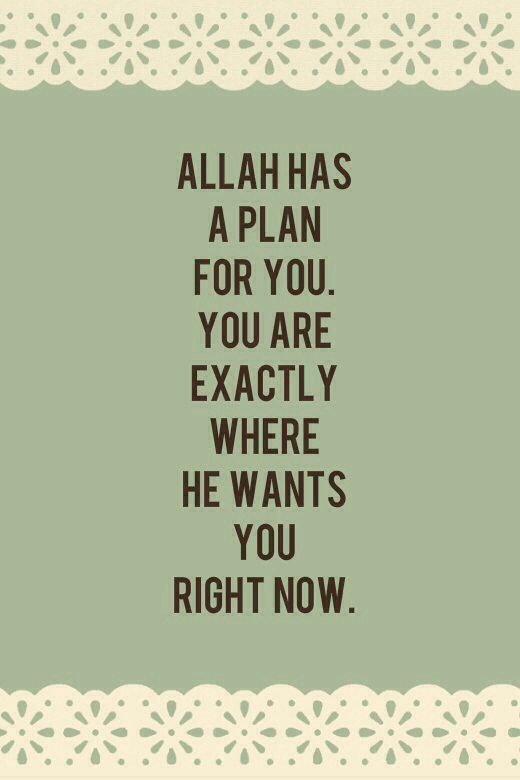 0a5577f8256e2b309c158f85b884edcfprophetq-1.jpg