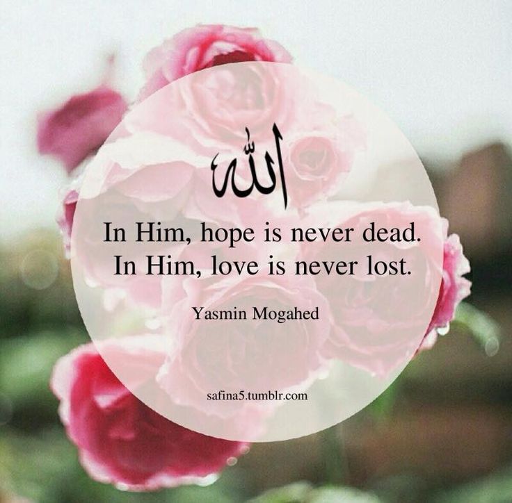 1109c2be893db3bcfc859460c24b08f7islamicq-1.jpg