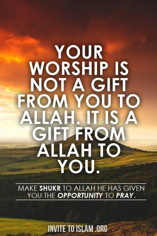 81b3e3c0b04fa833e3355a9ef2561fe7islamicq-1.jpg