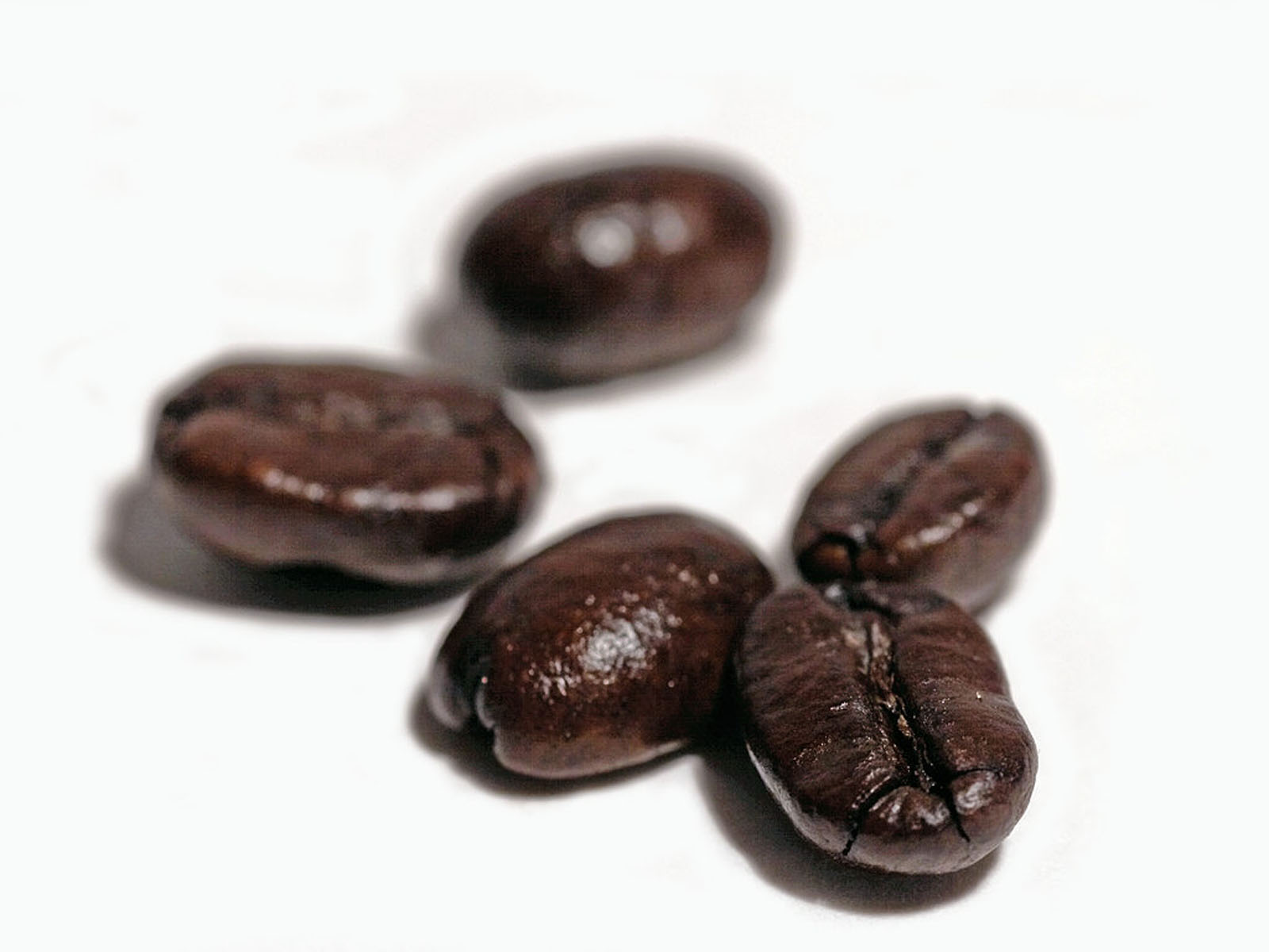CoffeeBeansImages2-1.jpg
