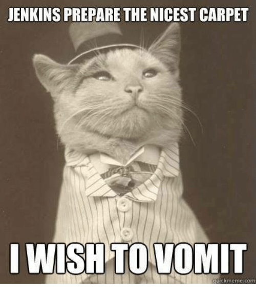 jenkinspreparethenicestcarpetiwishtovomi-1.png