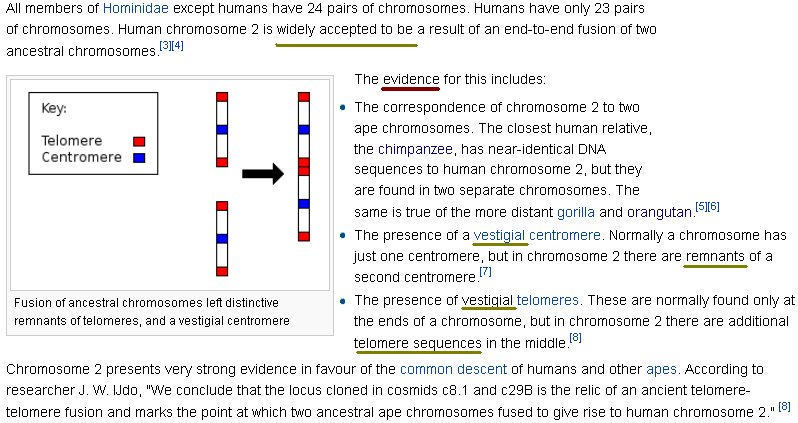 ch2 1 - Evolution and Islam are mutually exclusive