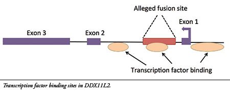 research debunks chrom fusion pic 1 - Evolution and Islam are mutually exclusive