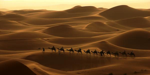1camelcaravanintheergchebbisouthernmoroc 1 - I'm not convinced that human evolution contradicts the Qu'ran...