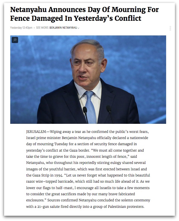 bibi_onion_2-1.jpg