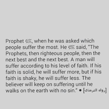 f50933f27d16a021a721eefcac536cb9islamhad-1.jpg