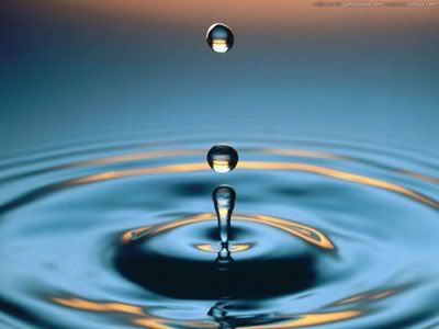 waterdrop400 1 - A dialogue between a flower and a pearl.....beautiful...u'll love it def!