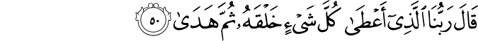 20_50-1.png