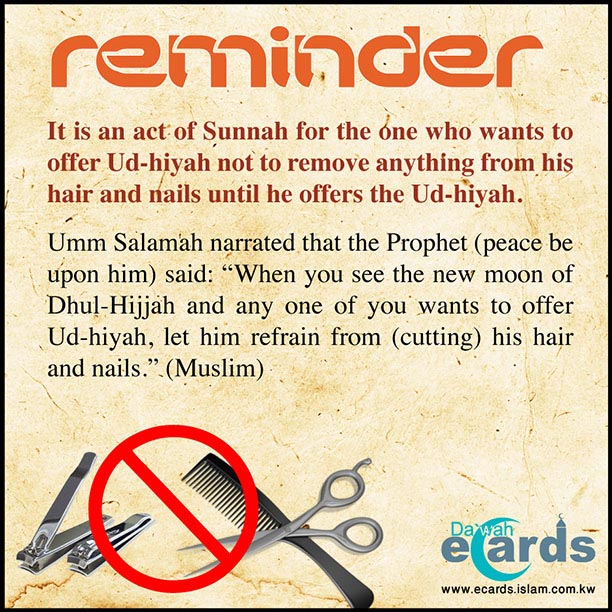 Dhulhijjah 1 - Reminder: Last Day to cut hair and nails