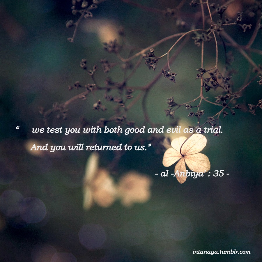 goodandevilquotes8-1.jpg