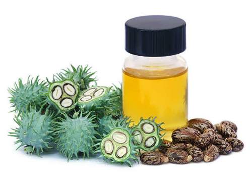 castoroil 1 - Castor Oil Oral : Uses, Side Effects, Interactions