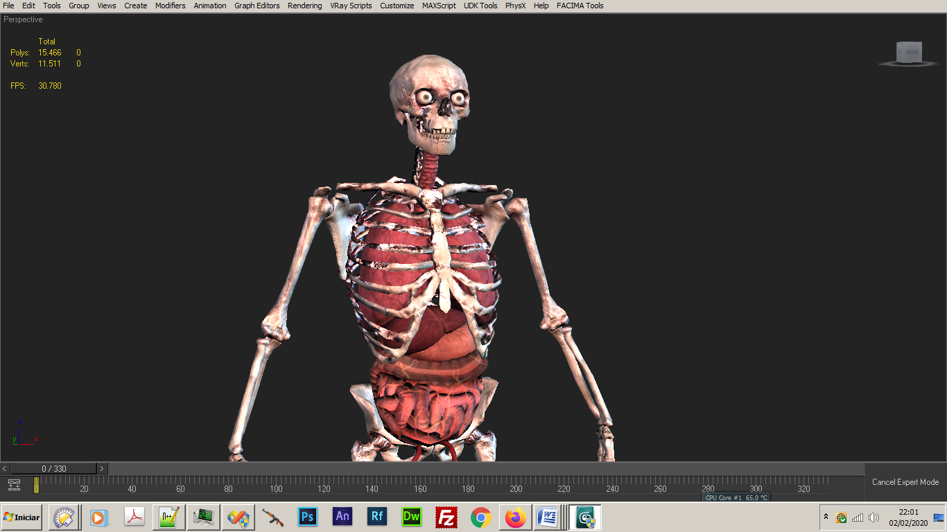 Skeleton-1.png