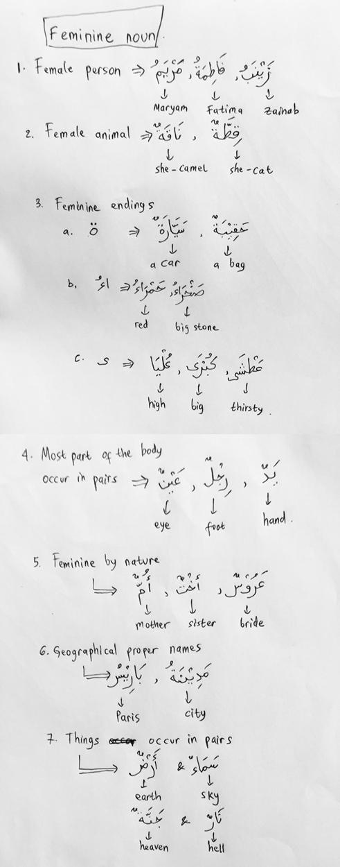 characteristicsfemininenouninarabic 1 - Arabic Grammar Simplified