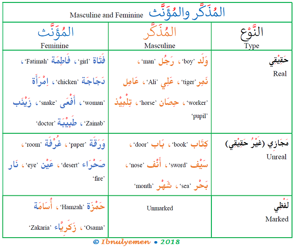 masculineandfeminine 1 - Arabic Grammar Simplified