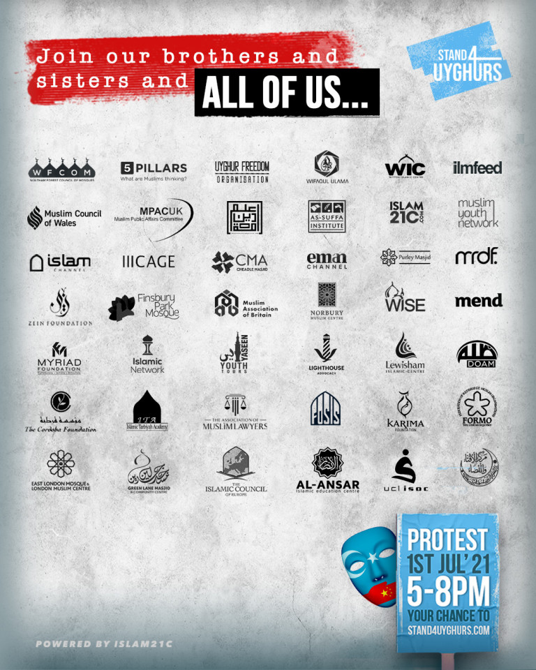 Suprt_Org_Graphic_v3768x960-1.jpg